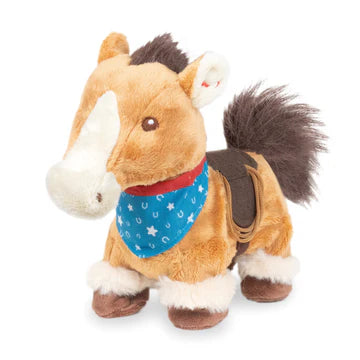 Colt the singing Pony