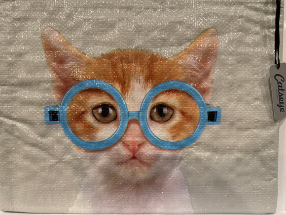 Catseye zippered pouch cat in glasses