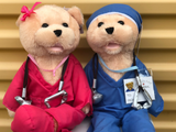 Scrubs the Bear