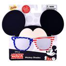 Character Party Creative Shades for all ages